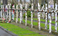 cmentarz w